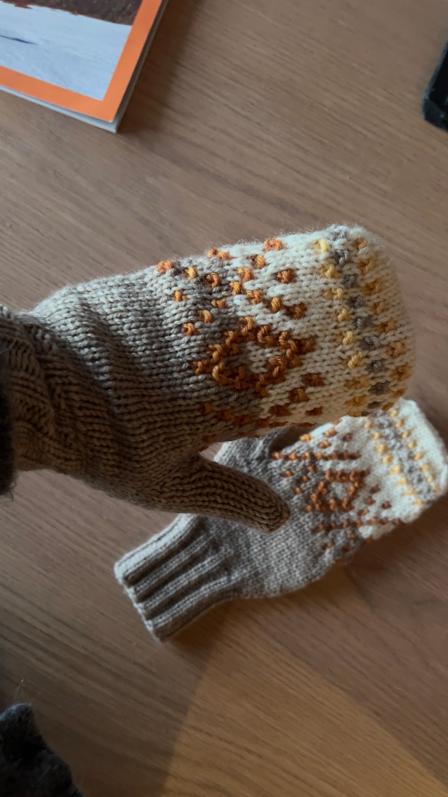 Tales of Patagonia Mittens